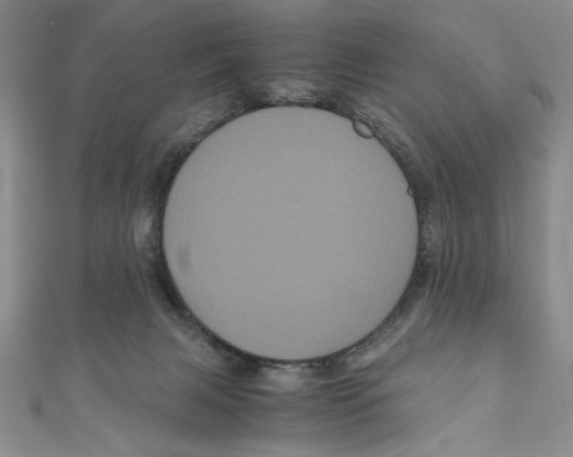 X0000111120079200907281038