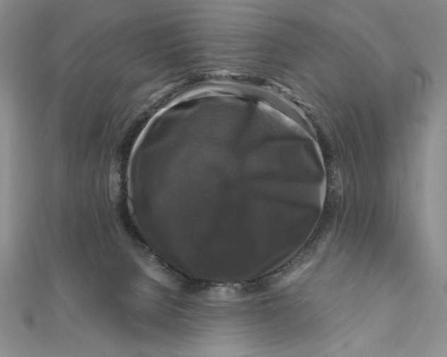 X0000111120080200907281038