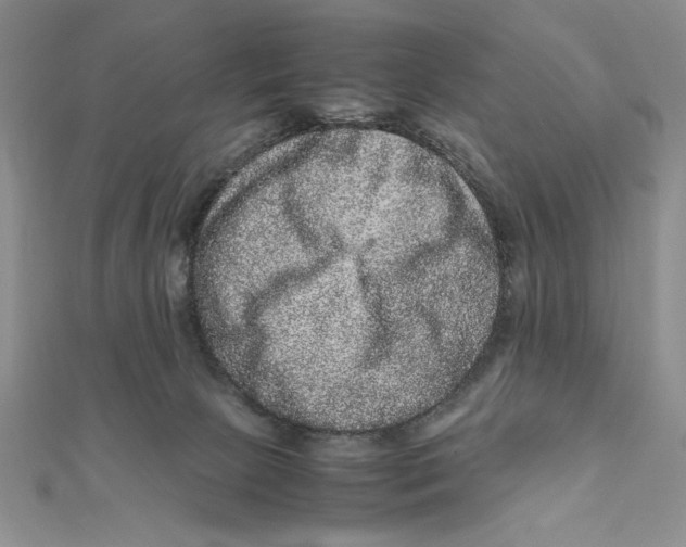 X0000111120081200907281038