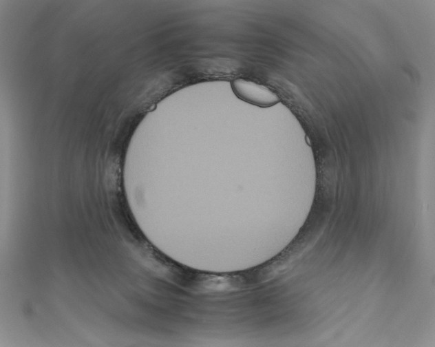 X0000111120083200907281038