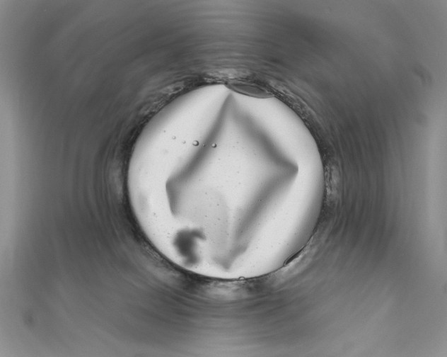 X0000111120086200907281038