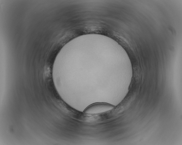 X0000111120087200907281038