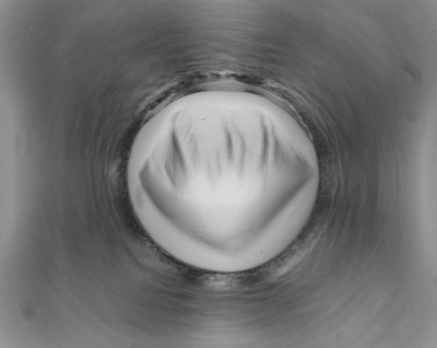 X0000111120088200907281038