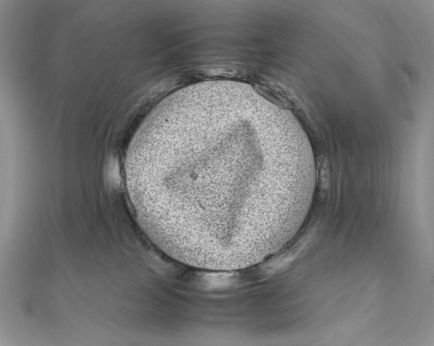 X0000111120089200907281038