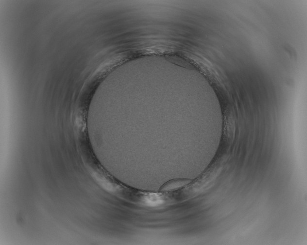 X0000111120091200907281038