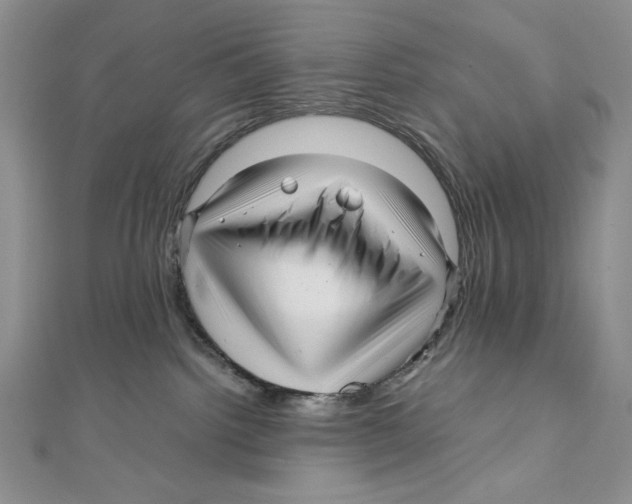 X0000111120092200907281038