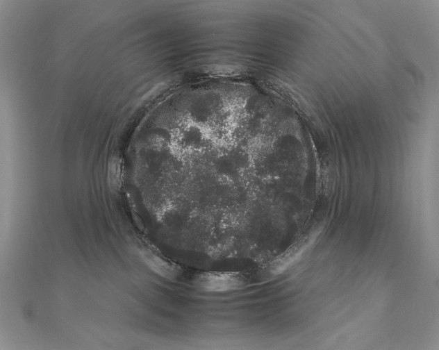 X0000111120093200907281038