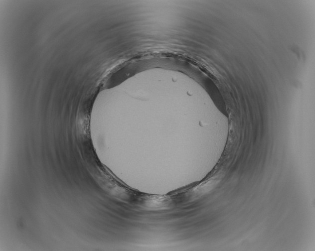X0000111120096200907281038