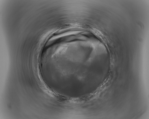 X0000111120097200907281038
