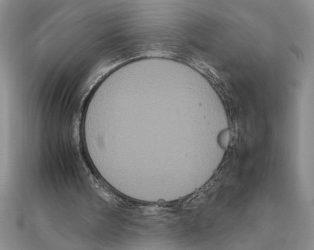 X0000111120098200907281038