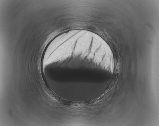 X0000111120099200907281038