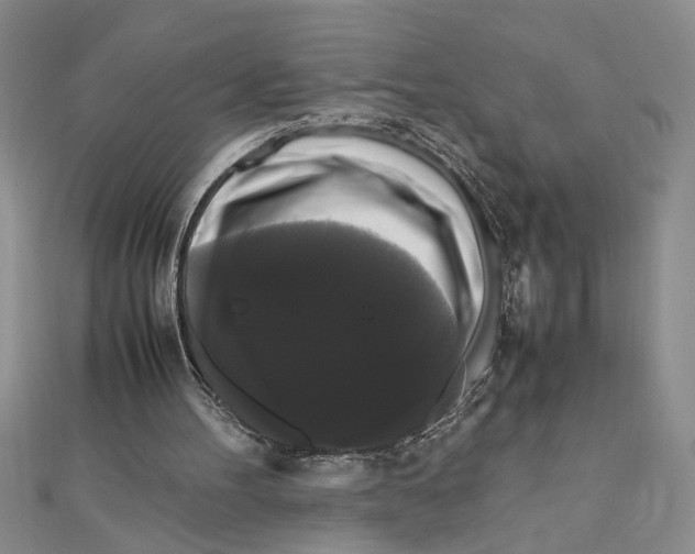 X0000111120100200907281038
