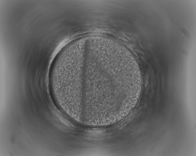 X0000111120102200907281038