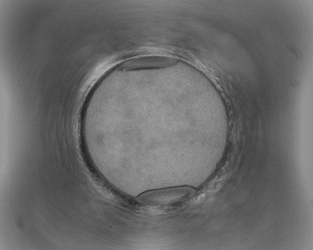 X0000111120103200907281038