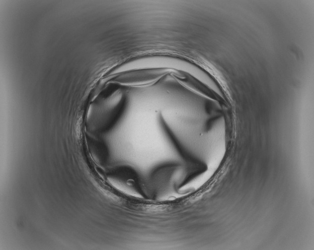 X0000111120105200907281038