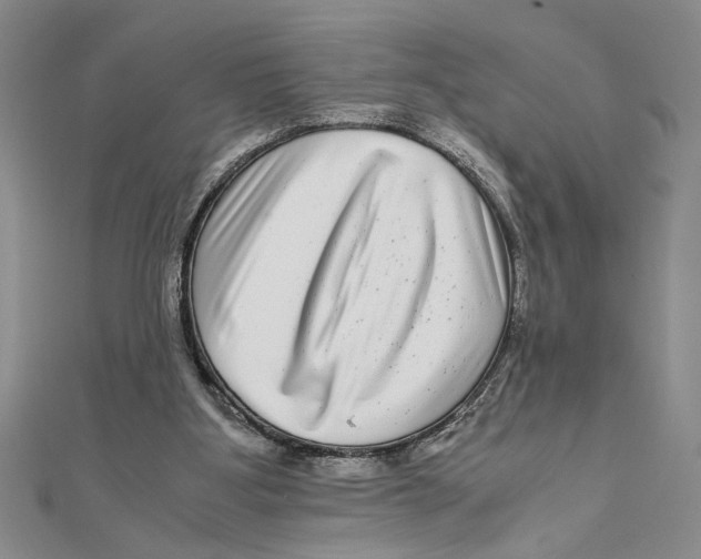 X0000111120107200907281037