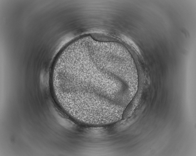 X0000111120108200907281037