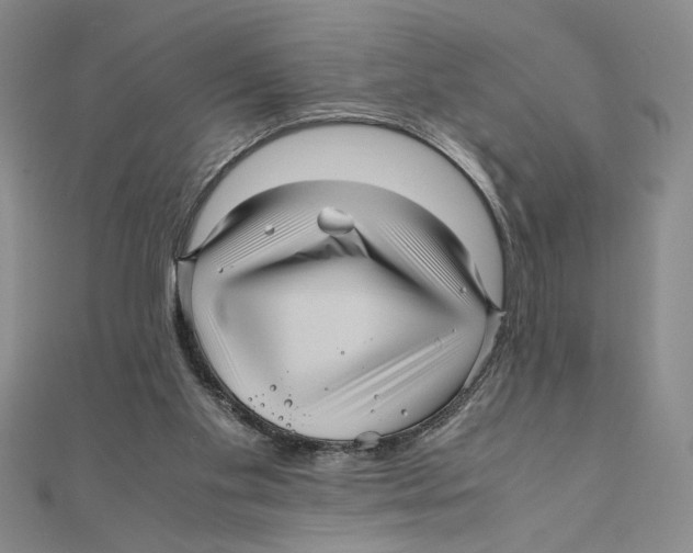X0000111120109200907281037