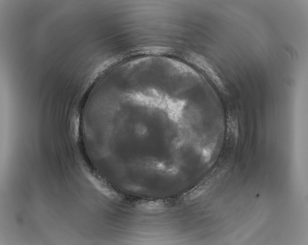 X0000111120110200907281037