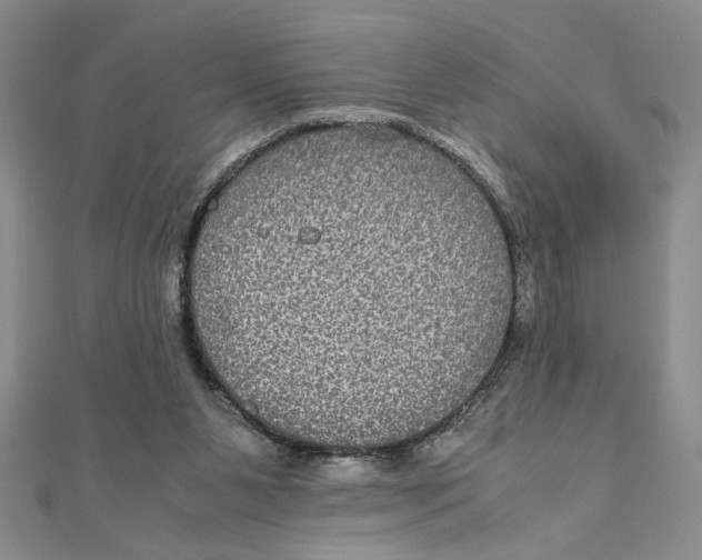 X0000111120111200907281037
