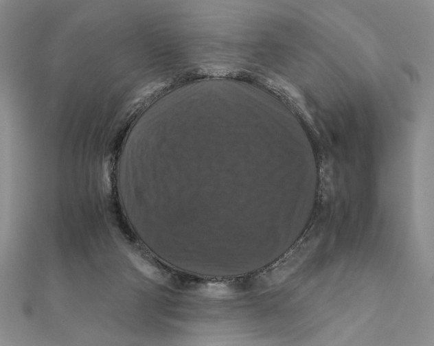 X0000111120114200907281037
