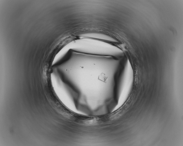 X0000111120116200907281037
