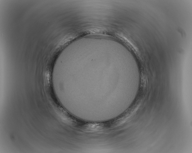 X0000111120117200907281037