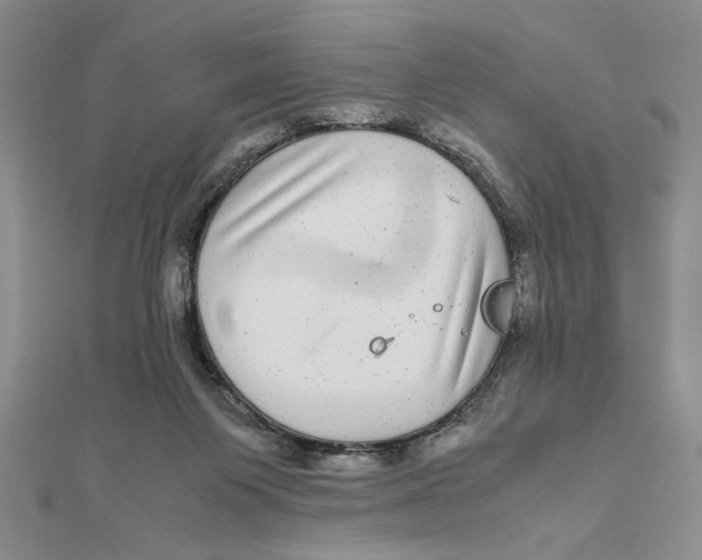 X0000111120119200907281037