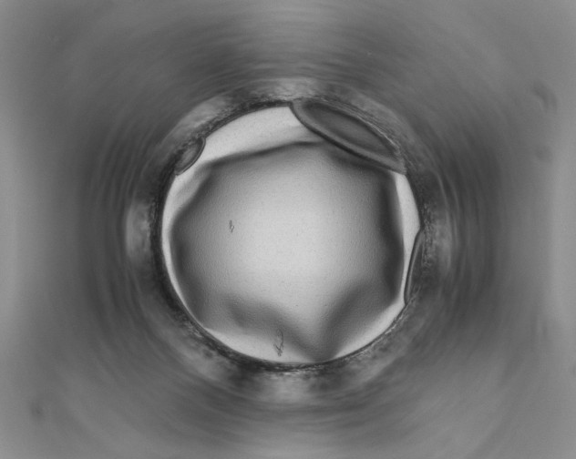 X0000111120120200907281037