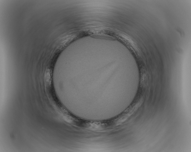 X0000111120121200907281037