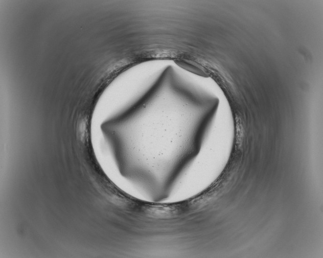 X0000111120123200907281037