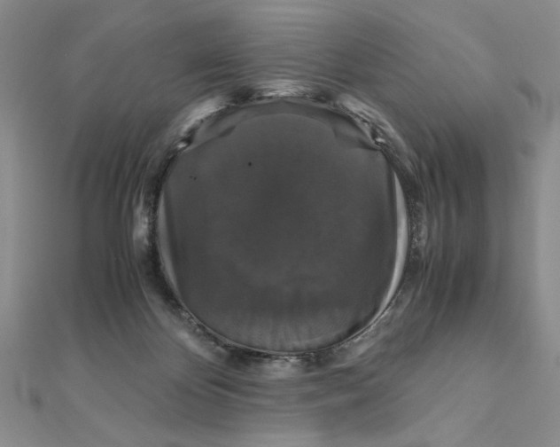 X0000111120124200907281037
