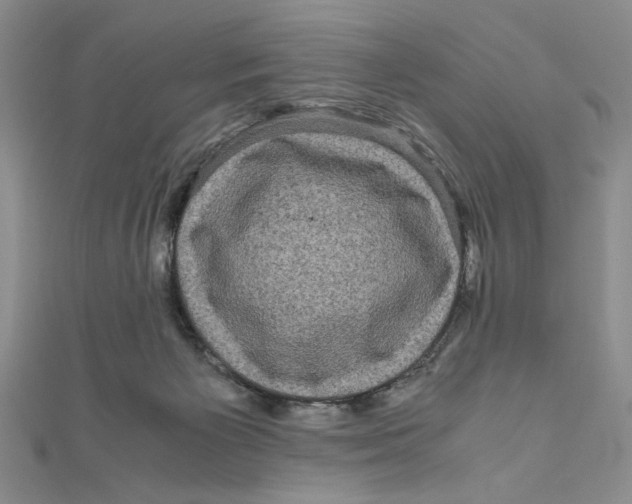 X0000111120125200907281037
