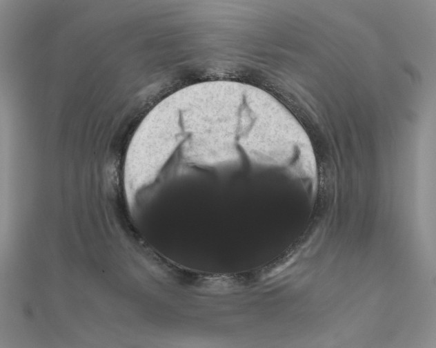 X0000111120127200907281037