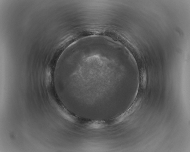 X0000111120128200907281037