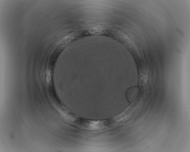 X0000111120130200907281037