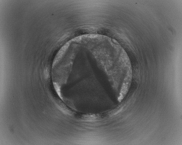 X0000111120131200907281037