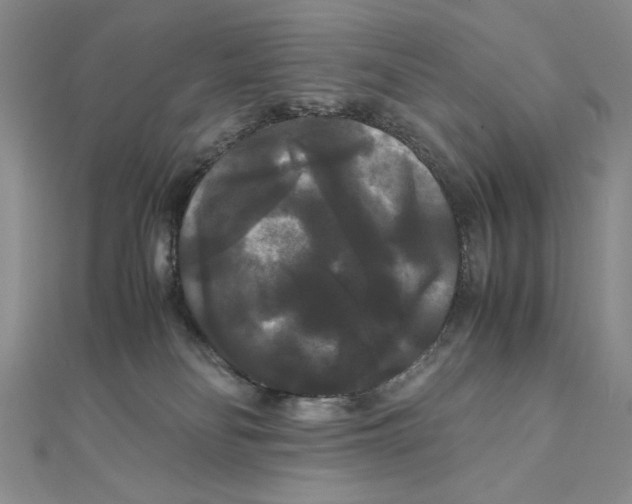 X0000111120134200907281037