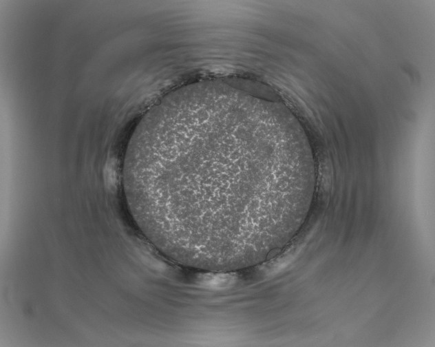X0000111120135200907281037