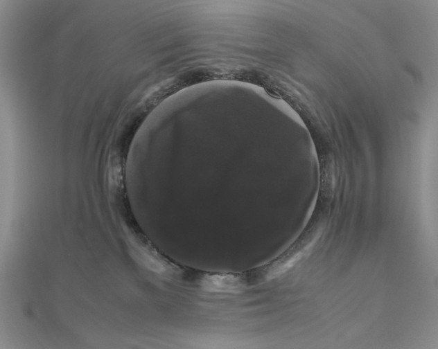 X0000111120137200907281037