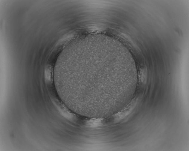 X0000111120138200907281037