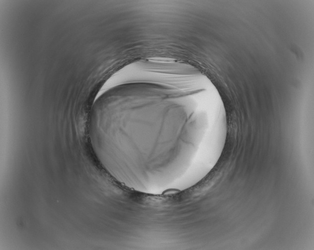 X0000111120139200907281037