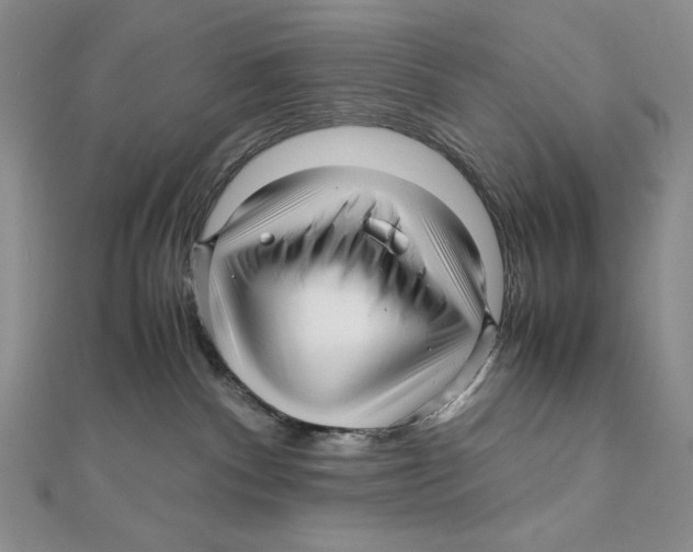 X0000111120140200907281037