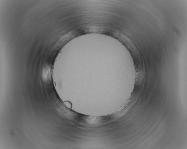 X0000111120142200907281037