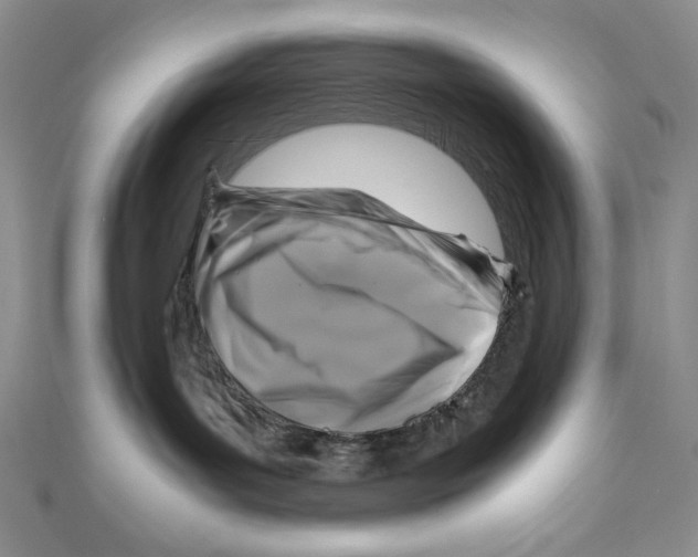 X0000111120143200907281037