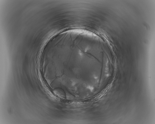 X0000111120145200907281036