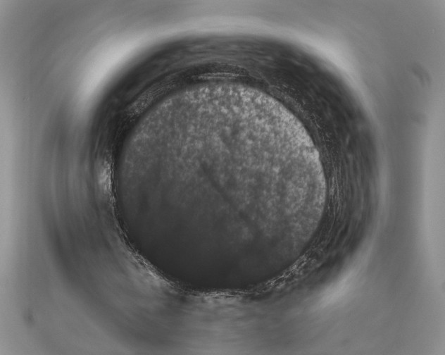 X0000111120146200907281036