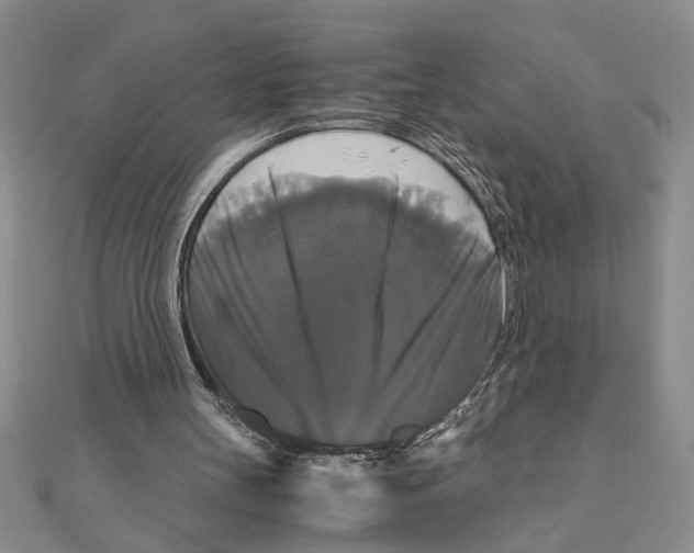 X0000111120147200907281036