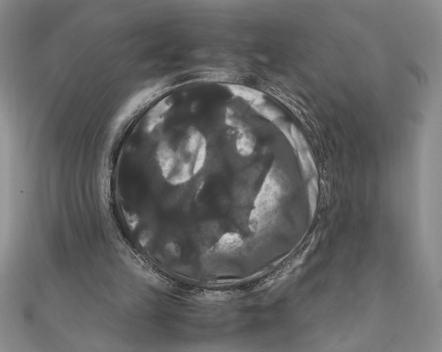 X0000111120149200907281036