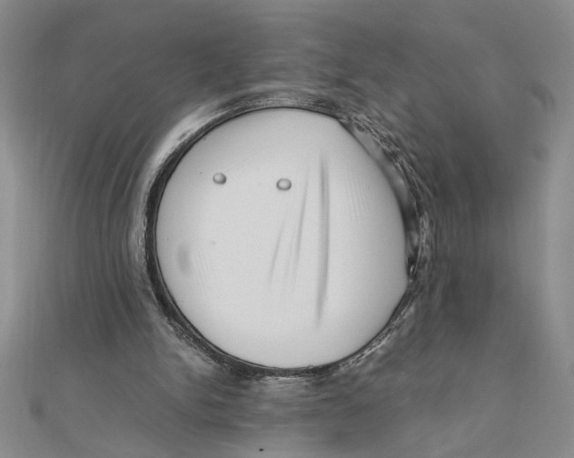 X0000111120150200907281036